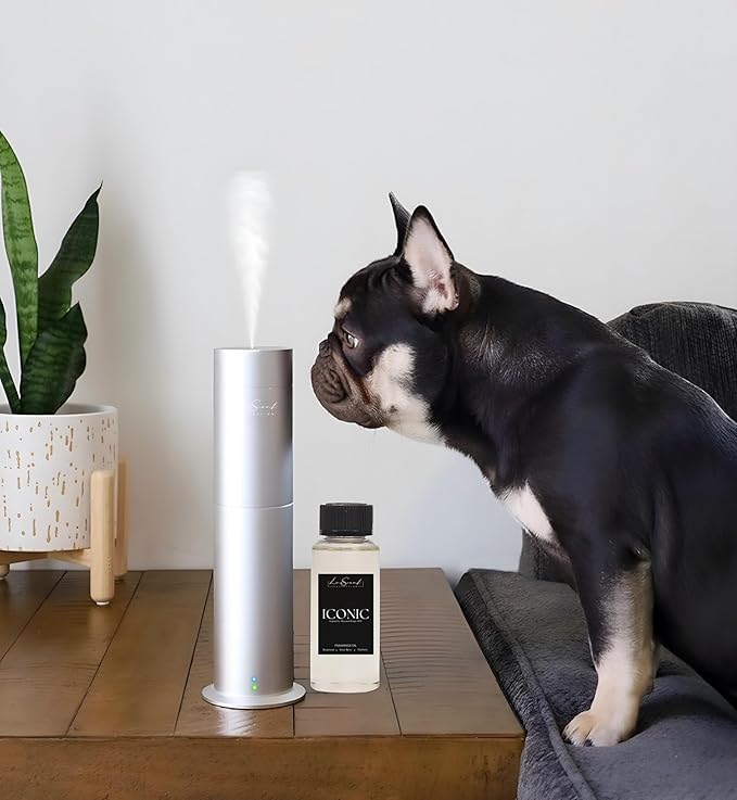 Aroma Scent Diffuser Starter Kit for Up to 1000SQ. FT. Coverage - 120ML Waterless Essential Oil Scent Included - Luxury Aroma Diffuser Ideal for Home, Office & Hotel (Silver, Iconic)