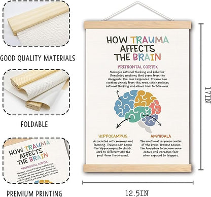 Human Brain Mental Health Wall Art Poster, Therapy Office Must Haves, How Trauma Affects The Brain CBT DBT Psychology Poster Hanger Frame for Therapy Counselor Office Classroom, 12x16 Inches