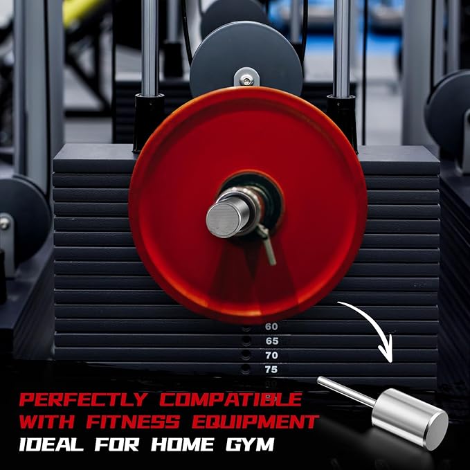Lasnten Weight Stack Pin Extender for Cable Machine & Home Gym, 10 mm Gym Pin for 2" Weight Plates That Have a 2"(50.8mm) Hole