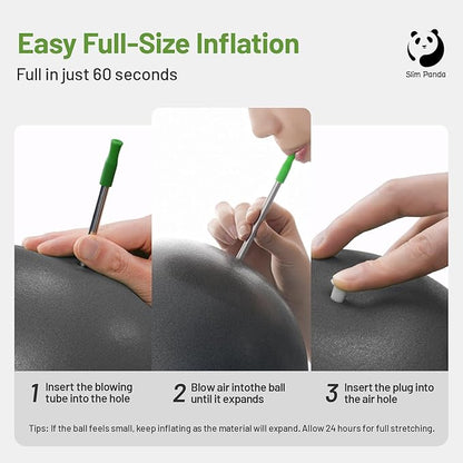 Slim Panda Pilates Ball, 9 Inch Small Exercise Ball, Anti Burst Mini Yoga Ball for Stability, Workout, Barre, Core Strength, Physical Therapy, Balance, Stretching