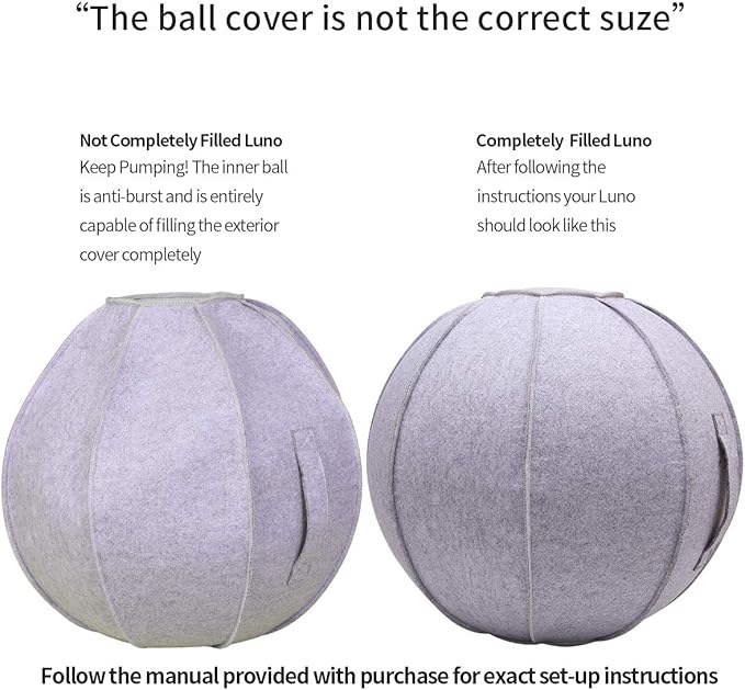 65cm Sitting Ball Chair for Office, Dorm, and Home, Pilates Exercise Yoga Ball with Cover, Lightweight Self-Standing Ergonomic Posture Activating Exercise Ball Solution with Handle and Pump
