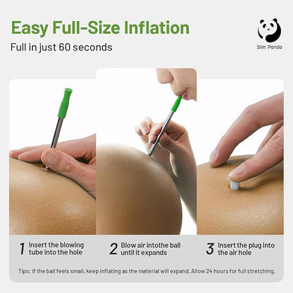 Slim Panda Pilates Ball, 9 Inch Small Exercise Ball, Anti Burst Mini Yoga Ball for Stability, Workout, Barre, Core Strength, Physical Therapy, Balance, Stretching