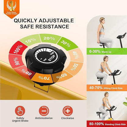 Exercise Bikes for Home,Indoor Cycling Bike with Adjustable Friction,Brake Pad Resistance Silent Belt Drive,330lbs Weight Capacity &Upgraded Version Seat for Home Cardio&Weight Loss