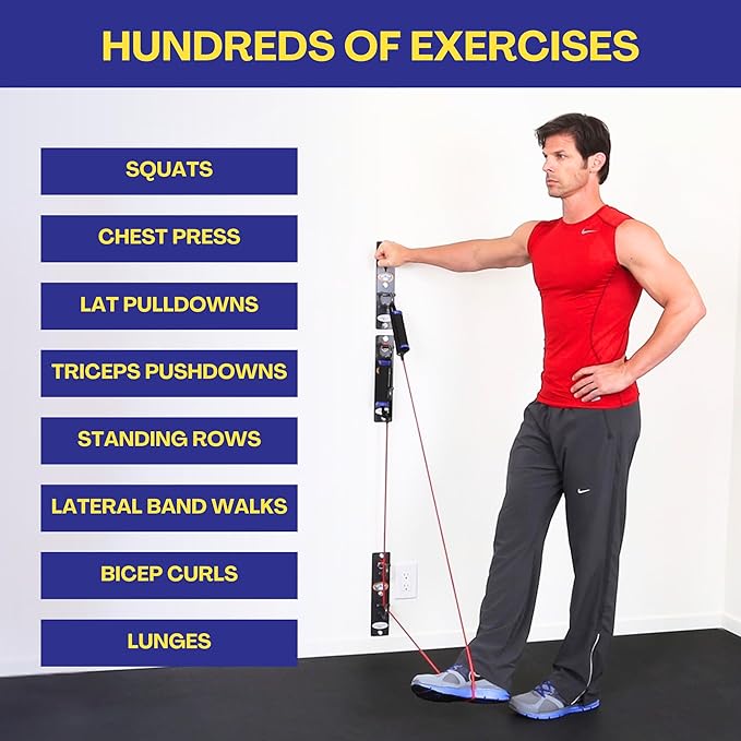 Anchor Gym H2 Resistance Band Anchor - Single Unit with Two Hooks Exercise Band Wall Mount for Bodyweight Straps, Strength Training, Home Gym (Wood Screws Included)
