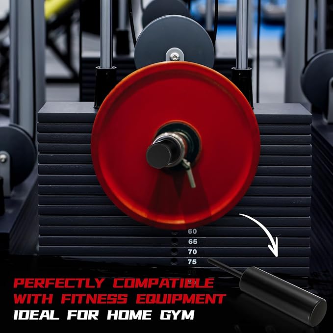 Lasnten Weight Stack Pin Extender for Cable Machine & Home Gym, 10 mm Gym Pin for 2" Weight Plates That Have a 2"(50.8mm) Hole