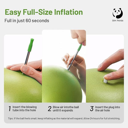 Slim Panda Pilates Ball, 9 Inch Small Exercise Ball, Anti Burst Mini Yoga Ball for Stability, Workout, Barre, Core Strength, Physical Therapy, Balance, Stretching