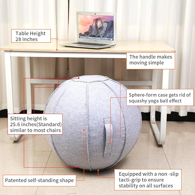 65cm Sitting Ball Chair for Office, Dorm, and Home, Pilates Exercise Yoga Ball with Cover, Lightweight Self-Standing Ergonomic Posture Activating Exercise Ball Solution with Handle and Pump