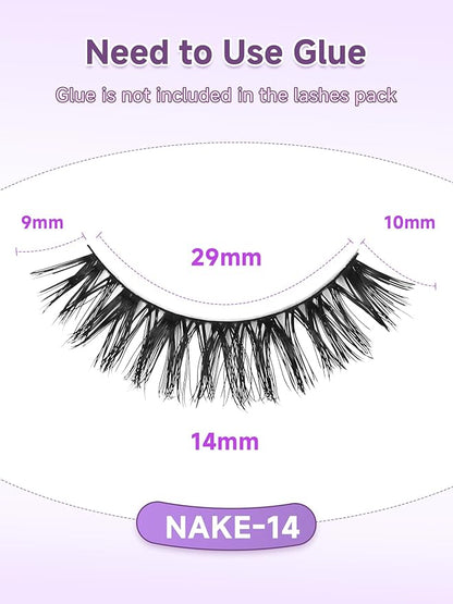 Eyelashes Natural False Lashes Wispy Lashes 14mm Eyelashes with Thin Memory Band Volume Soft Lash Strips C Curl Natural Eyelash 7 Pair EVENTILL