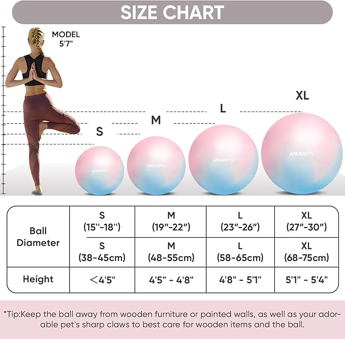 APEXUP Yoga Ball Exercise Ball Anti Slip Heavy Duty for Fitness, Balance & Core Workout