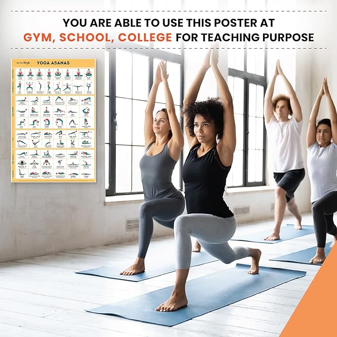 SPORTAXIS 5 Pack Laminated Workout Posters for Home Without Equipment Color Illustrations Bodyweight Basic Building Exercises Yoga Abs Training for Men and Women 18x27 Inches
