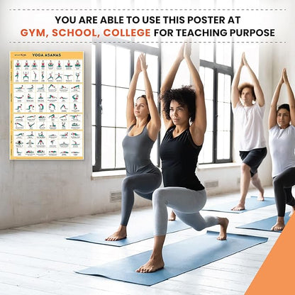 SPORTAXIS 5 Pack Laminated Workout Posters for Home Without Equipment Color Illustrations Bodyweight Basic Building Exercises Yoga Abs Training for Men and Women 18x27 Inches