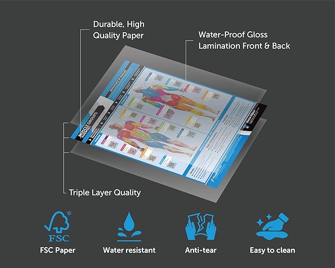 Muscle Groups & Exercise Poster for Home Gym Decor – Laminated Workout Chart with Free Video Training – Fitness Room Decor for Men and Women by Posterfit