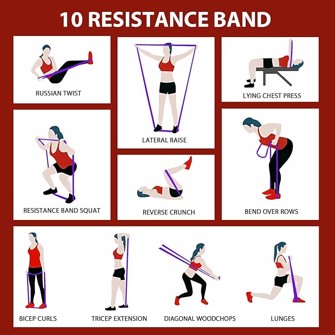 LEEKEY Resistance Bands, Exercise Bands with Handles,Pull Up Assist Bands - Bands for Working Out,Band for Men and Women Fitness Training, Physical Therapy,Home Workouts