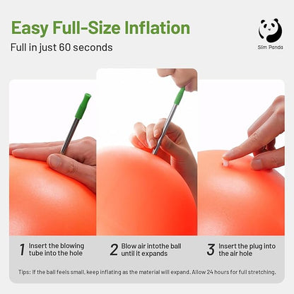 Slim Panda Pilates Ball, 9 Inch Small Exercise Ball, Anti Burst Mini Yoga Ball for Stability, Workout, Barre, Core Strength, Physical Therapy, Balance, Stretching