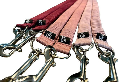 STAERK Pilates Suspension Training System - Premium Resistance Training Kit - At-Home Pilates for Strength & Flexibility - Resistance Bands Set for Home Gym, Travel, and Outdoors