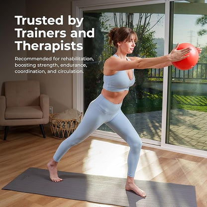 Sunny Health & Fitness Premium Anti-Burst Exercise Balls for Core Strength, Yoga, Pilates, Barre, Physical Therapy, Balance, Flexibility Non-Slip & Odorless