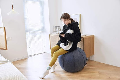 65cm Sitting Ball Chair for Office, Dorm, and Home, Pilates Exercise Yoga Ball with Cover, Lightweight Self-Standing Ergonomic Posture Activating Exercise Ball Solution with Handle and Pump