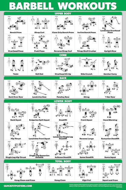 Palace Learning 11 Pack - Exercise Poster Set: Dumbbell, Suspension, Kettlebell, Resistance Bands, Stretching, Bodyweight, Barbell, Yoga, Exercise Ball, Muscular System, Medicine Ball