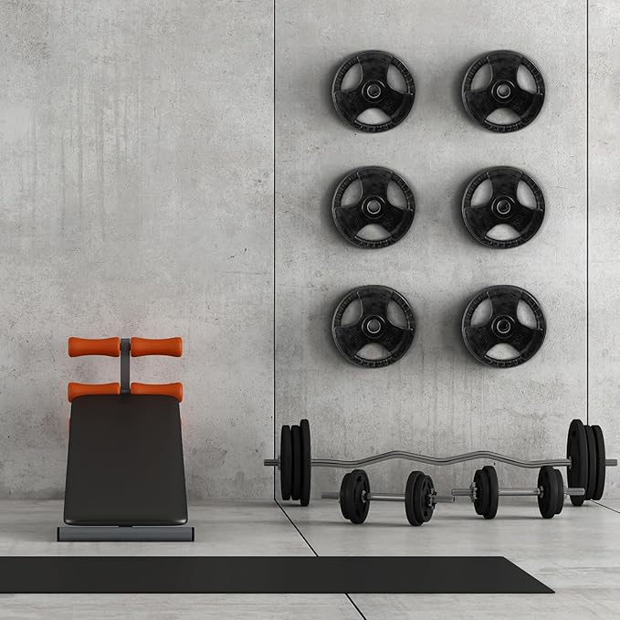 Wall Mounted Weight Plate Rack Storage, Steel Wall Mounted Weight Plate Holder Fits 2" Plates for Home Gyms, Garages, and Power Racks