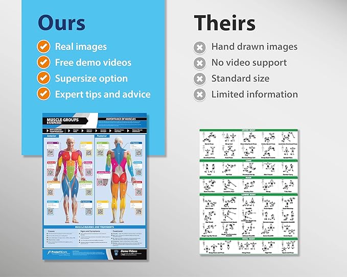 Muscle Groups & Exercise Poster for Home Gym Decor – Laminated Workout Chart with Free Video Training – Fitness Room Decor for Men and Women by Posterfit