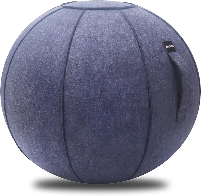 65cm Sitting Ball Chair for Office, Dorm, and Home, Pilates Exercise Yoga Ball with Cover, Lightweight Self-Standing Ergonomic Posture Activating Exercise Ball Solution with Handle and Pump