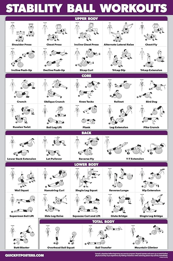 Palace Learning 11 Pack - Exercise Poster Set: Dumbbell, Suspension, Kettlebell, Resistance Bands, Stretching, Bodyweight, Barbell, Yoga, Exercise Ball, Muscular System, Medicine Ball