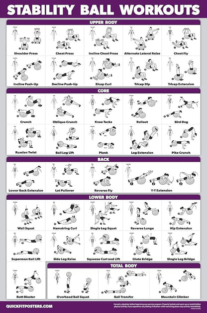 Palace Learning 11 Pack - Exercise Poster Set: Dumbbell, Suspension, Kettlebell, Resistance Bands, Stretching, Bodyweight, Barbell, Yoga, Exercise Ball, Muscular System, Medicine Ball