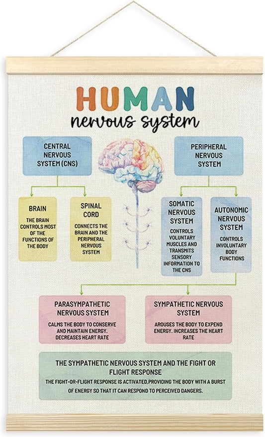 TLESKE Human Nervous System Psychology Psychologist Gifts Poster Hanger Frame, Mental Health Hanging Wall Art Decor for Classroom Therapist Therapy Counseling Office, Positive Prints Picture, 12x16