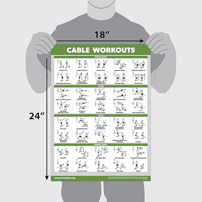 4 Pack - Cable Machine Workout Posters Volume 1 & 2 + Dumbbell Exercises + Barbell Exercises (LAMINATED, 18" x 24")