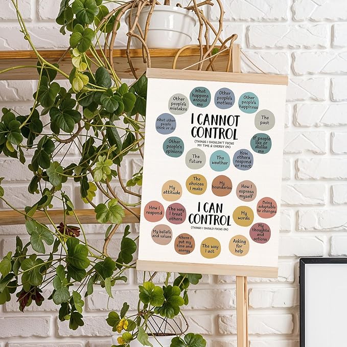 DNEULYR Mental Health Poster, I Can and Cannot Control Inspirational Mental Health Wall Art for School Counselor Office Therapy Office Calming Corner Classroom Decor, 12x16 Inches