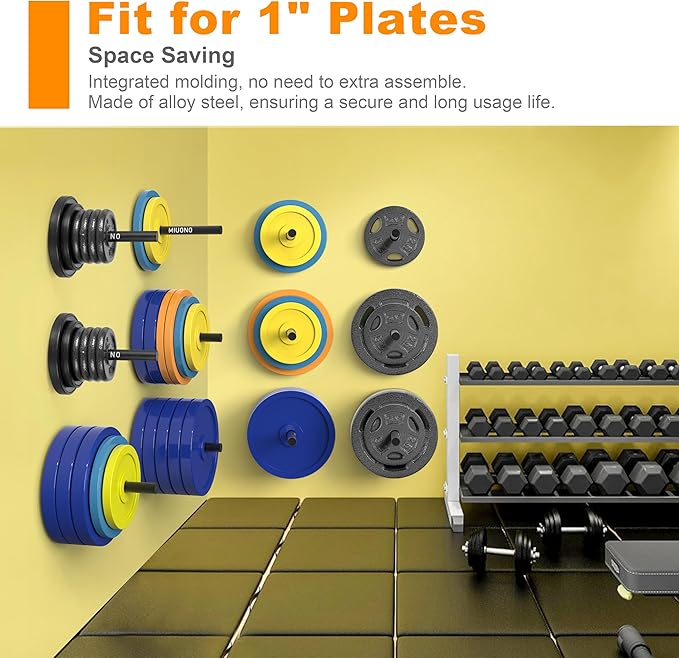 Weight Plate Holder, Wall Mounted Weight Rack Storage for Weight Plates, Home Gym Organizer