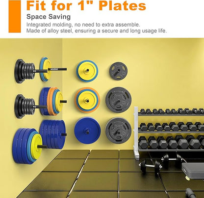 Weight Plate Holder, Wall Mounted Weight Rack Storage for Weight Plates, Home Gym Organizer