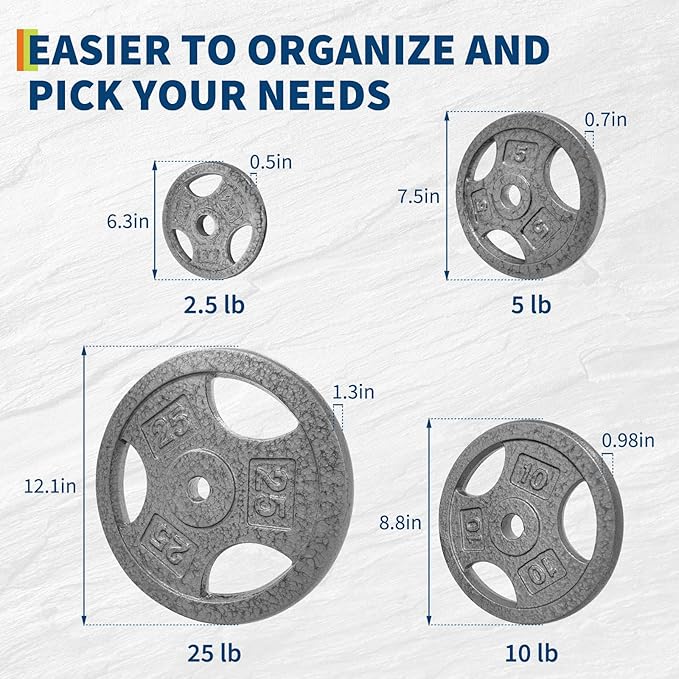 Cast Iron Weight Plates with Triple Grip Handles, 1 inch Standard Weights Plates with Anti-Rust Coating for Home Gym Strength Training, Weightlifting & Muscle Toning
