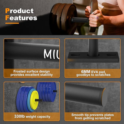 Weight Plate Holder, Wall Mounted Weight Rack Storage for Weight Plates, Home Gym Organizer