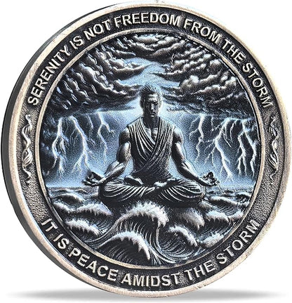 Serenity Peace Within The Storm Sobriety Chip AA Medallion with Serenity Prayer Perfect for AA Recovery and Motivation (Single Coin)