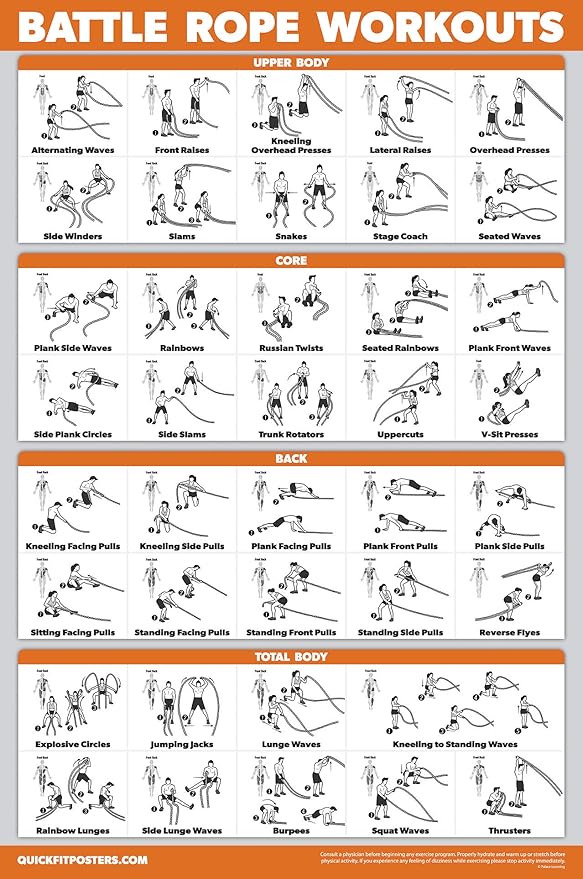 Palace Learning 15 Pack - Exercise Poster Set: Dumbbell, Suspension, Kettlebell, Resistance Bands, Stretching, Bodyweight, Barbell, Yoga, Battle Rope, Exercise Ball, Muscular, Medicine Ball