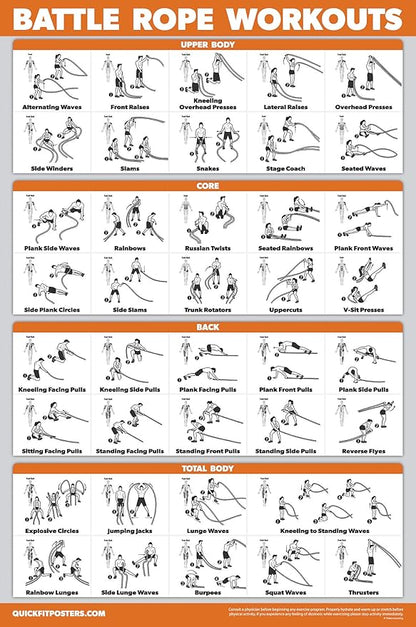 Palace Learning 15 Pack - Exercise Poster Set: Dumbbell, Suspension, Kettlebell, Resistance Bands, Stretching, Bodyweight, Barbell, Yoga, Battle Rope, Exercise Ball, Muscular, Medicine Ball