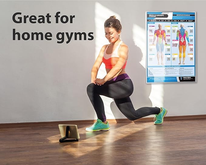 Muscle Groups & Exercise Poster for Home Gym Decor – Laminated Workout Chart with Free Video Training – Fitness Room Decor for Men and Women by Posterfit