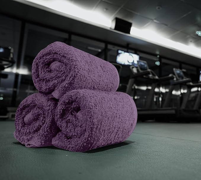 Utopia Towels 24 Pack Cotton Washcloths Set, 100% Ring Spun Cotton, Premium Quality Flannel Face Cloths, Highly Absorbent and Soft Feel Fingertip Towels, Plum