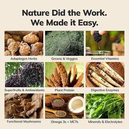 Ka’Chava Whole Body Meal Shake Chai 2 lb – Vegan Protein Powder with 85+ Superfoods & Greens – Plant-Based Meal Replacement with Probiotics & Digestive Enzymes – Gluten & Dairy Free (15 Servings)