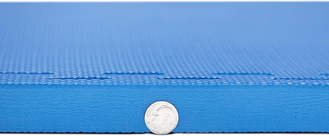 IncStores Fitness Foam Flooring Tiles | Low-Profile Interlocking Foam Tiles for Lightweight Floor Protection in Your Home Gym, Playroom, and More