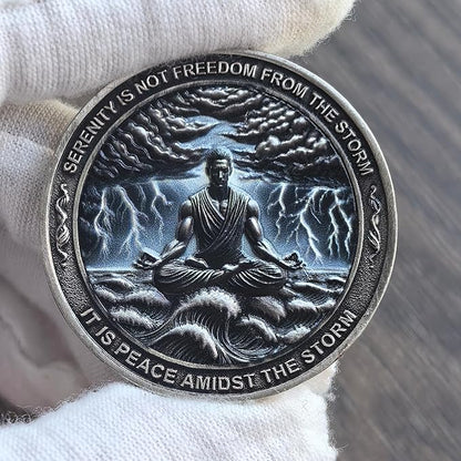 Serenity Peace Within The Storm Sobriety Chip AA Medallion with Serenity Prayer Perfect for AA Recovery and Motivation (Single Coin)