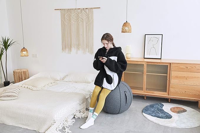65cm Sitting Ball Chair for Office, Dorm, and Home, Pilates Exercise Yoga Ball with Cover, Lightweight Self-Standing Ergonomic Posture Activating Exercise Ball Solution with Handle and Pump