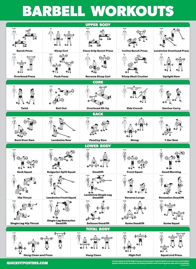 Palace Learning 4 Pack - Dumbbell, Barbell, Bodyweight & Kettlebell Workouts - Set of 4 Laminated Charts (18” x 24”)