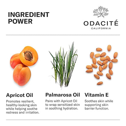 Odacité Anti Aging Serum Concentrate with Apricot and Palmarosa - For Fragile Capillaries - Ultra-Soothing Facial Serum for Fragile Skin, Redness & Healthy Looking Skin - 0.17 Fl. Oz