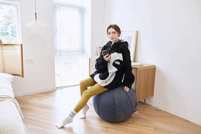 65cm Sitting Ball Chair for Office, Dorm, and Home, Pilates Exercise Yoga Ball with Cover, Lightweight Self-Standing Ergonomic Posture Activating Exercise Ball Solution with Handle and Pump