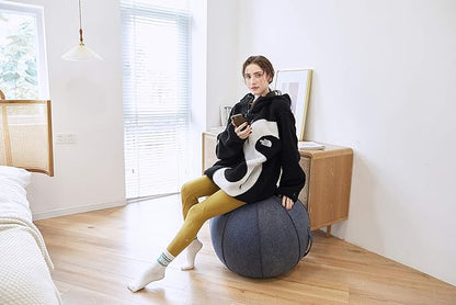 65cm Sitting Ball Chair for Office, Dorm, and Home, Pilates Exercise Yoga Ball with Cover, Lightweight Self-Standing Ergonomic Posture Activating Exercise Ball Solution with Handle and Pump