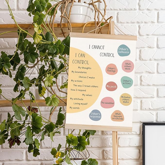 DNEULYR Things I Can Control Mental Health Poster Hanger Frame, Wall Decor Art Banner for Classroom, School Counselor Office, Therapy Office, 12.5x17 Inch