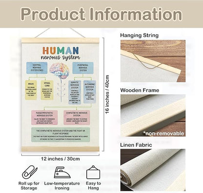 TLESKE Human Nervous System Psychology Psychologist Gifts Poster Hanger Frame, Mental Health Hanging Wall Art Decor for Classroom Therapist Therapy Counseling Office, Positive Prints Picture, 12x16