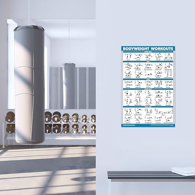Palace Learning 16 Pack - Exercise Poster Set: Dumbbell, Suspension, Kettlebell, Resistance Bands, Medicine Ball, Battle Rope, Stretching, Bodyweight, Barbell, Yoga, Exercise Ball, Muscular